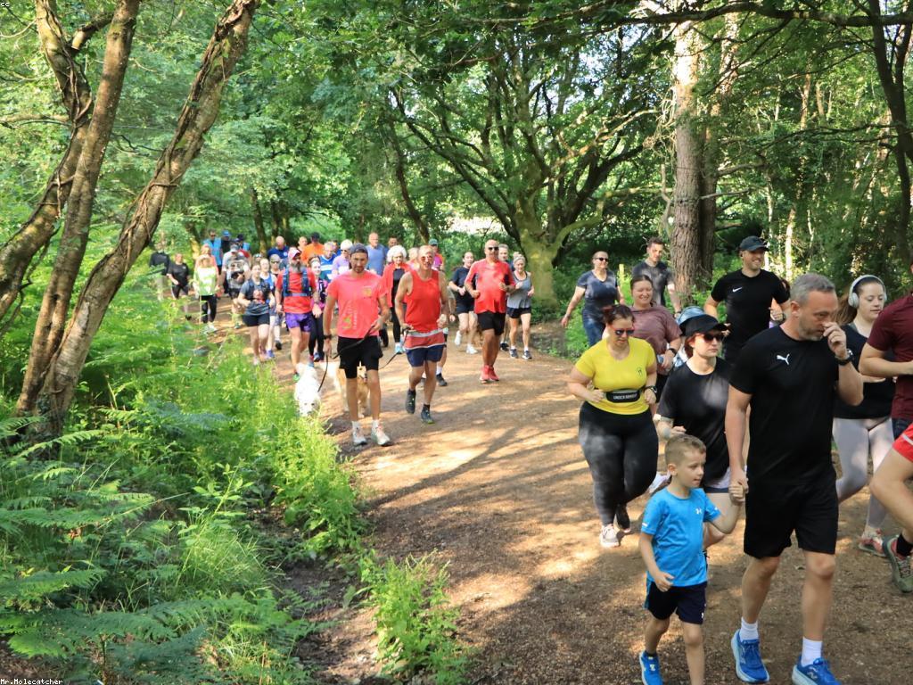 វិធីស្នាក់នៅផលិតផលធម្មជាតិដោយមិនមានគុណភាព